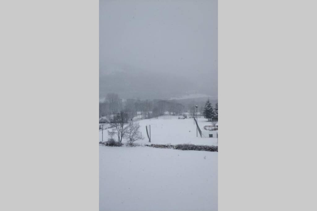 Bassiero Apartament Esterri d'Àneu Buitenkant foto