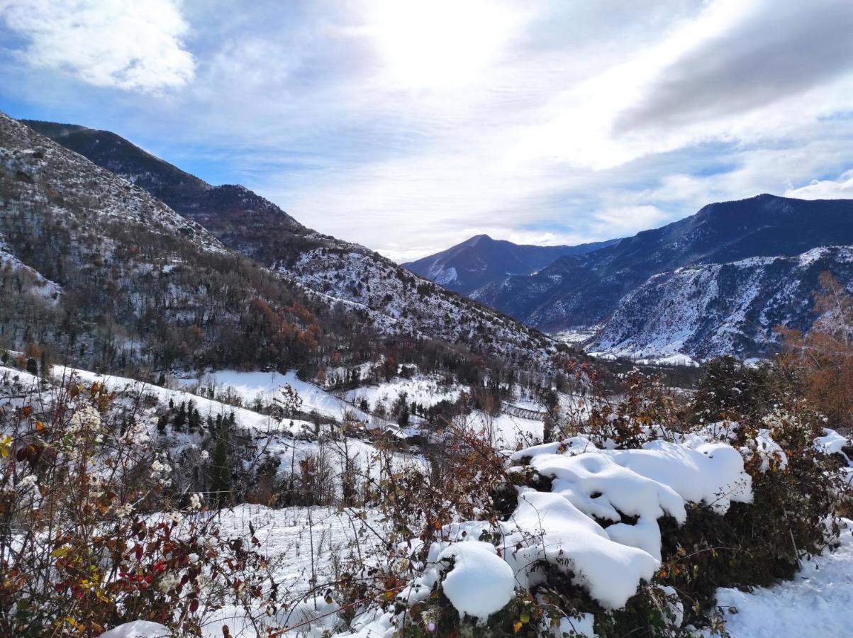 Bassiero Apartament Esterri d'Àneu Buitenkant foto